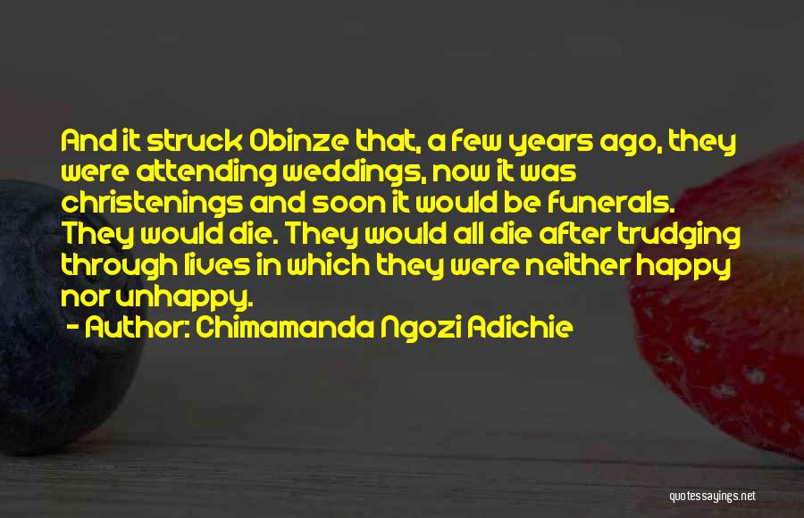Trudging Quotes By Chimamanda Ngozi Adichie