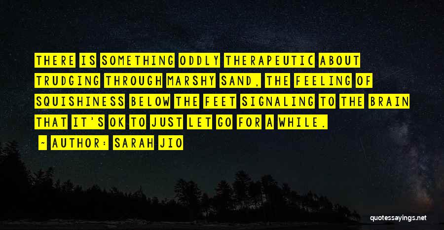 Trudging Quotes By Sarah Jio