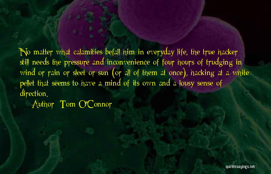 Trudging Quotes By Tom O'Connor