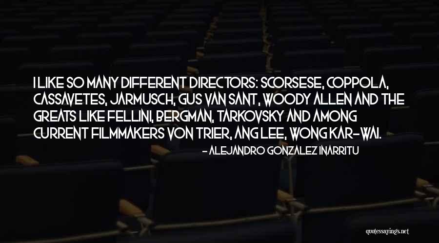 Trudy Goodman Quotes By Alejandro Gonzalez Inarritu Trudy Goodman Quotes By Alejandro Gonzalez Inarritu