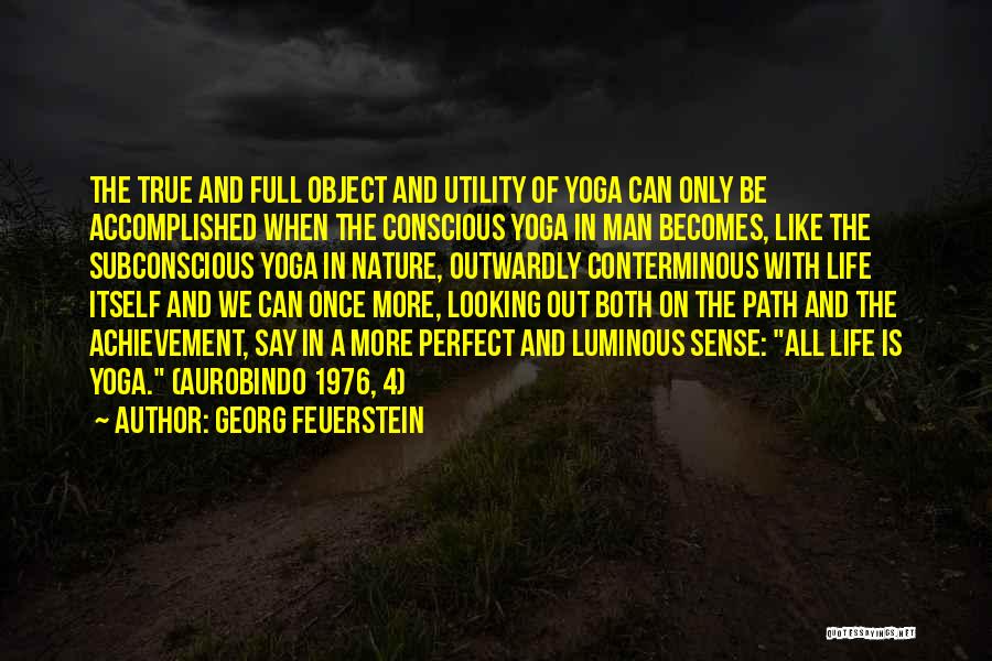 True Achievement Quotes By Georg Feuerstein