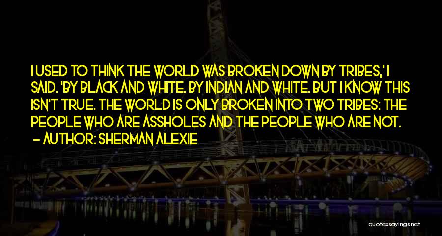 True And Inspirational Quotes By Sherman Alexie