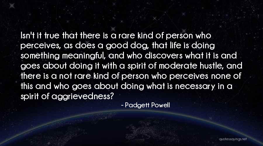 True And Meaningful Quotes By Padgett Powell True And Meaningful Quotes By Padgett Powell