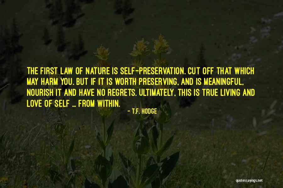 True And Meaningful Quotes By T.F. Hodge True And Meaningful Quotes By T.F. Hodge