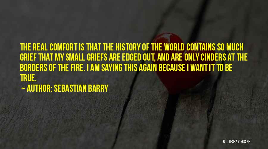 True And Real Quotes By Sebastian Barry
