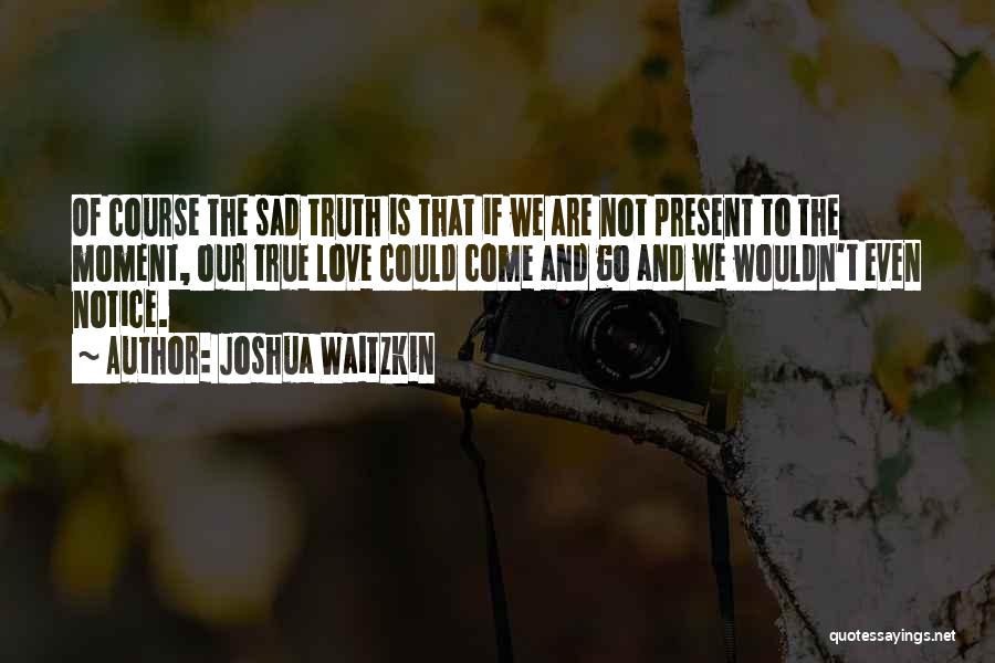 True And Sad Love Quotes By Joshua Waitzkin