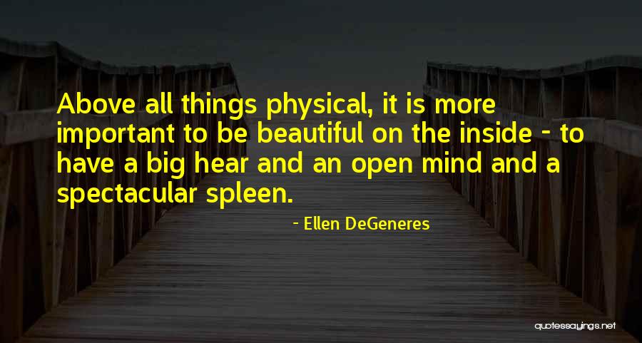 True Beauty Inspirational Quotes By Ellen DeGeneres