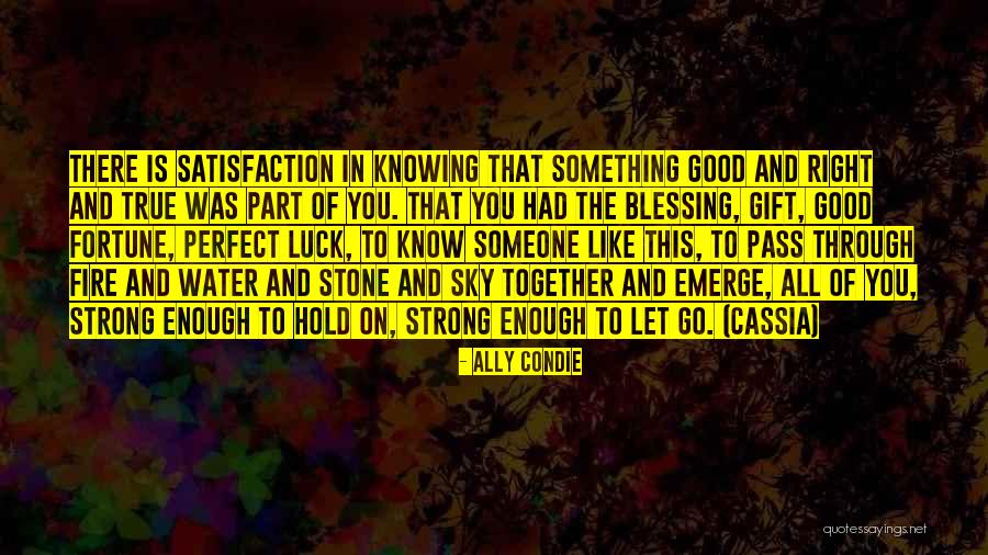 True Blessing Quotes By Ally Condie True Blessing Quotes By Ally Condie
