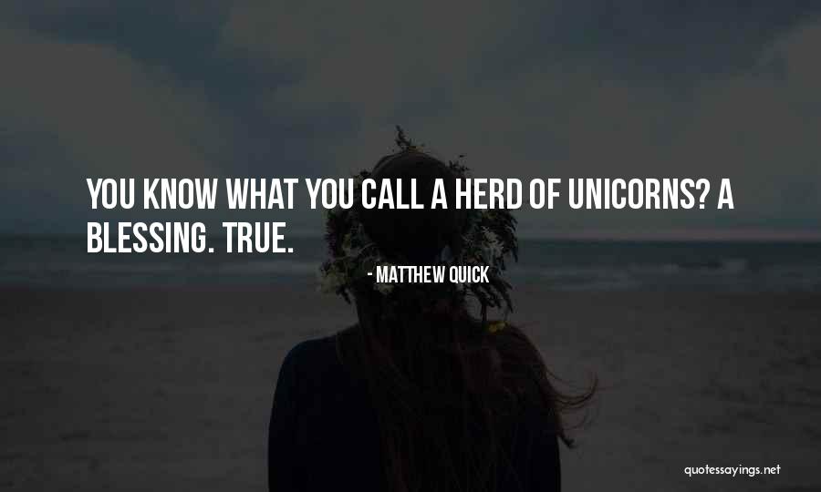 True Blessing Quotes By Matthew Quick True Blessing Quotes By Matthew Quick