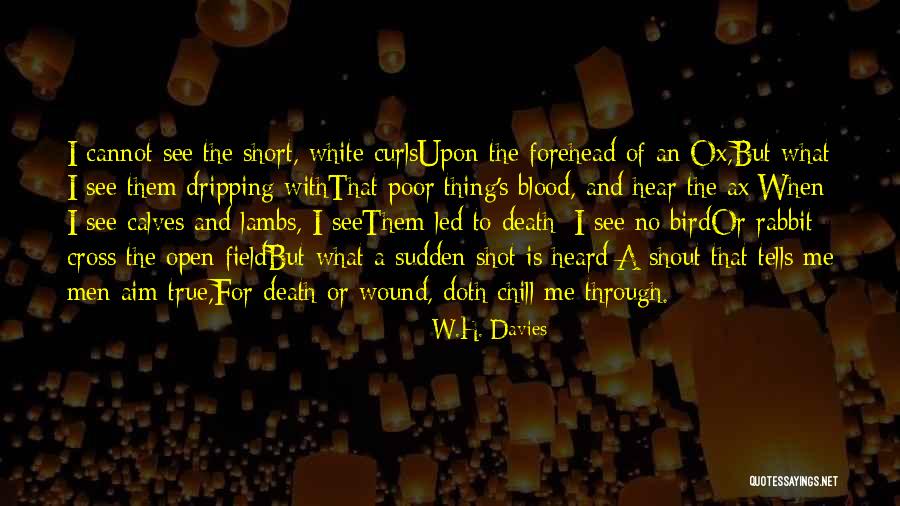 True Blood Quotes By W.H. Davies