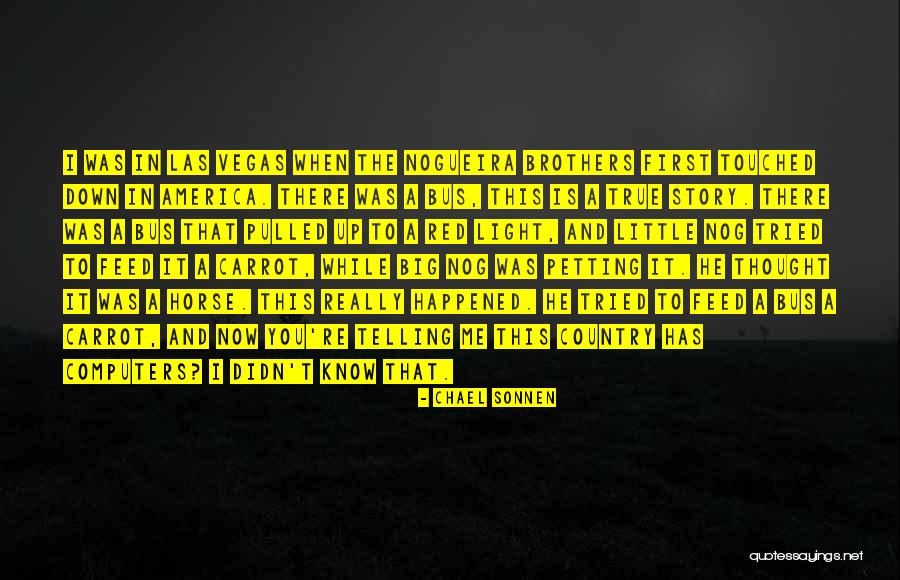 True Brothers Quotes By Chael Sonnen True Brothers Quotes By Chael Sonnen