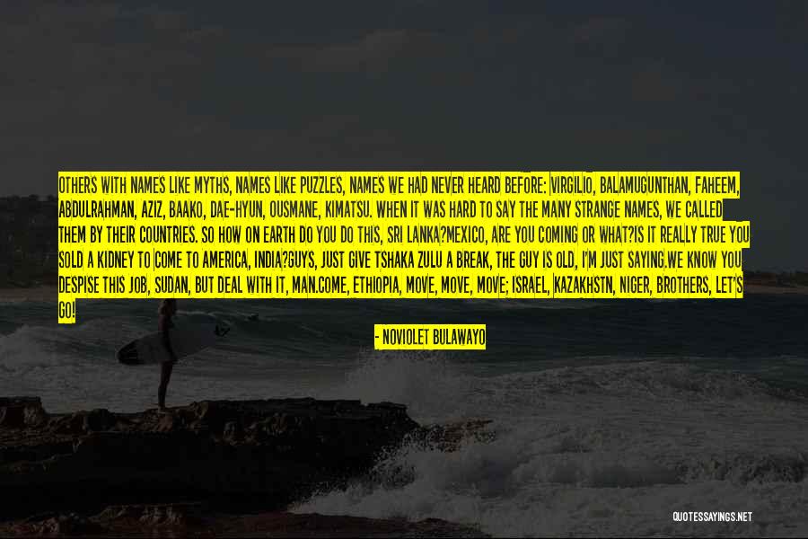 True Brothers Quotes By NoViolet Bulawayo True Brothers Quotes By NoViolet Bulawayo