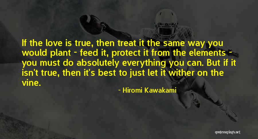 True But Strange Quotes By Hiromi Kawakami