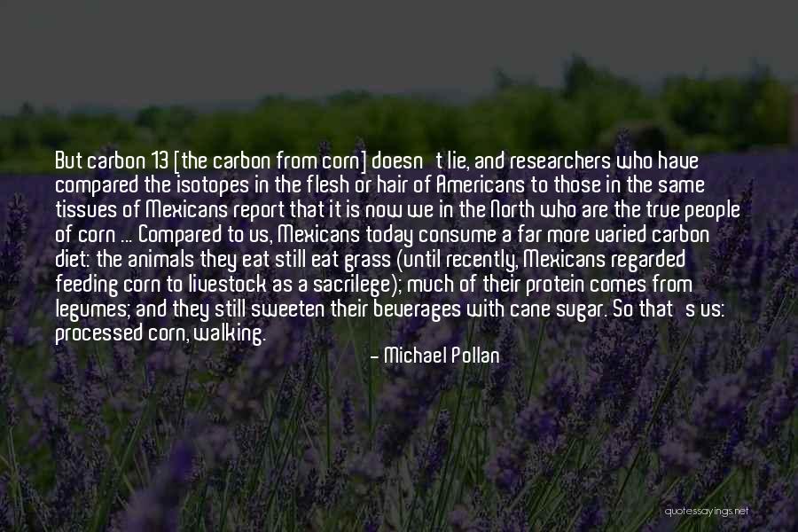 True Cane Quotes By Michael Pollan True Cane Quotes By Michael Pollan