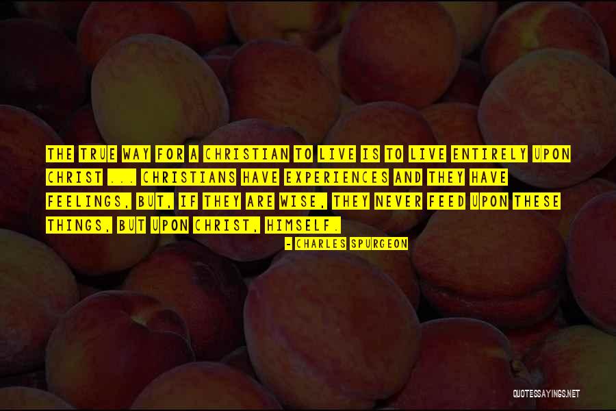 True Christians Quotes By Charles Spurgeon True Christians Quotes By Charles Spurgeon