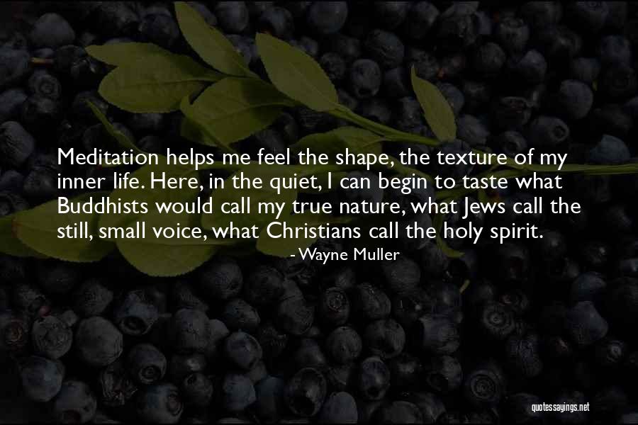 True Christians Quotes By Wayne Muller True Christians Quotes By Wayne Muller