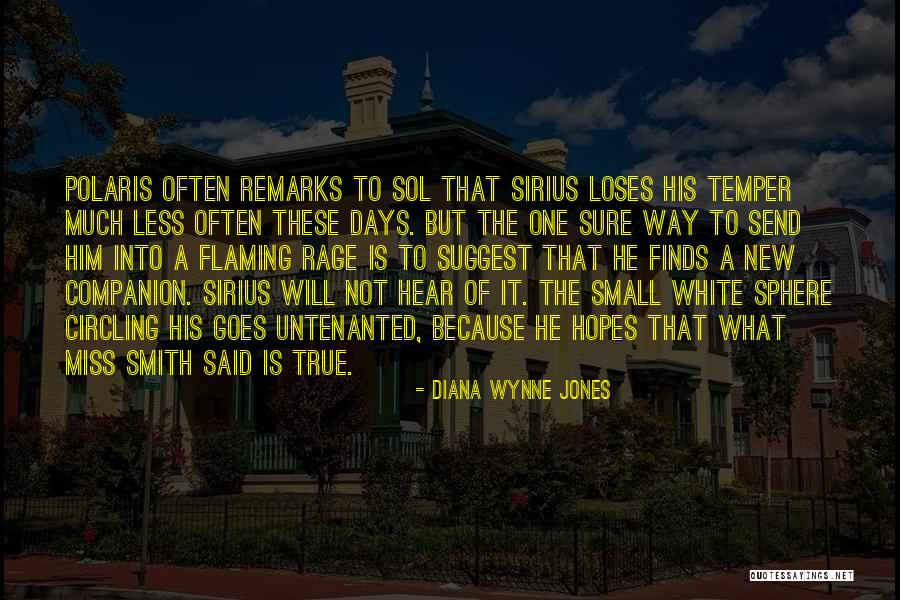 True Companion Quotes By Diana Wynne Jones