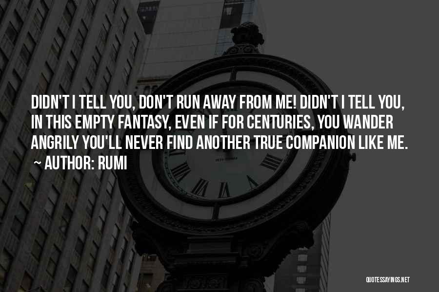 True Companion Quotes By Rumi