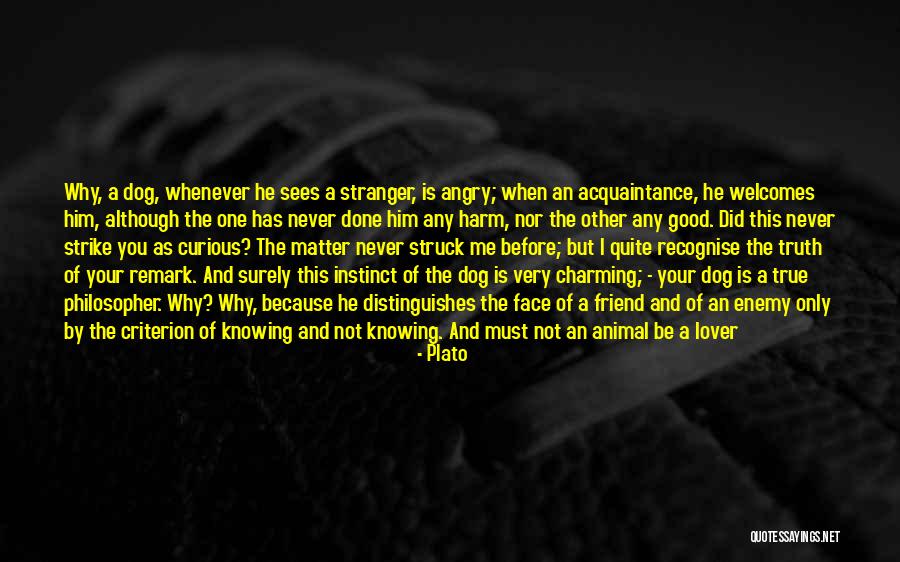 True Enemy Quotes By Plato True Enemy Quotes By Plato