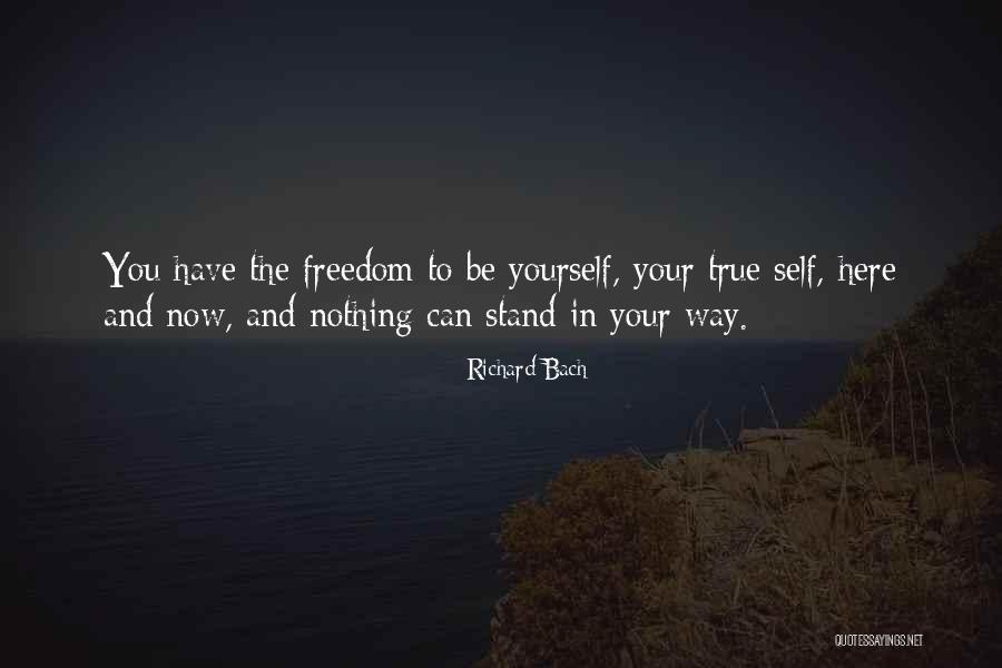 True Freedom Quotes By Richard Bach True Freedom Quotes By Richard Bach