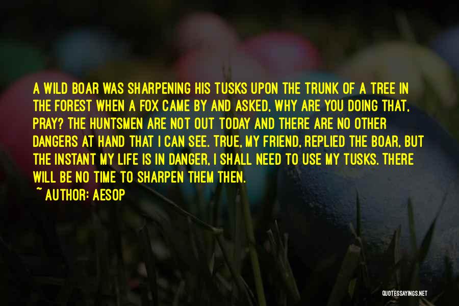 True Friend In Need Quotes By Aesop