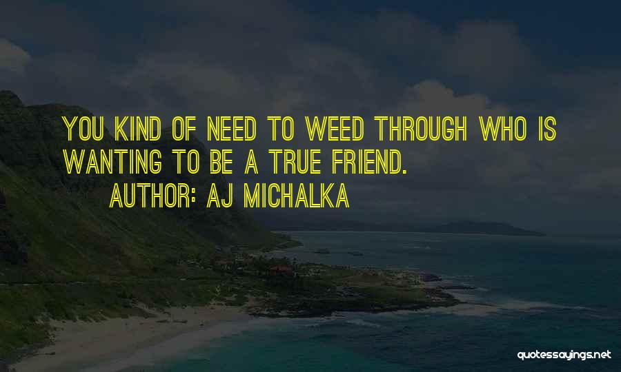 True Friend In Need Quotes By AJ Michalka