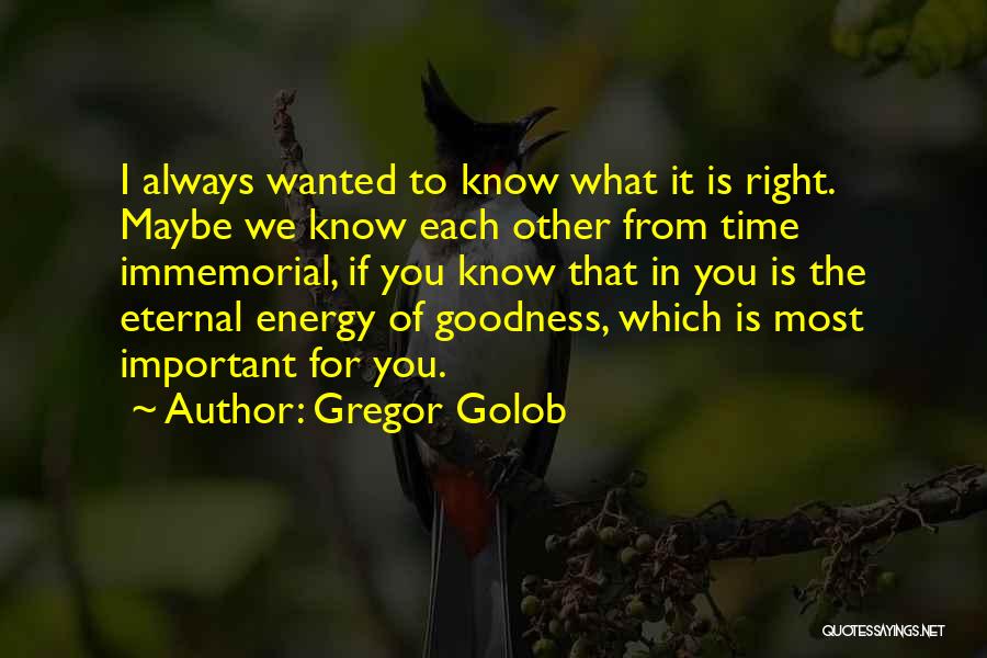 True Friend Will Always Be There Quotes By Gregor Golob