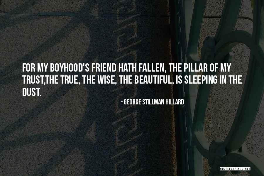 True Friends And Trust Quotes By George Stillman Hillard True Friends And Trust Quotes By George Stillman Hillard