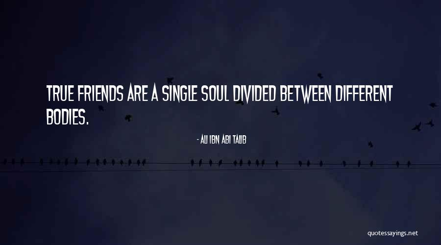 True Friends Are Quotes By Ali Ibn Abi Talib True Friends Are Quotes By Ali Ibn Abi Talib