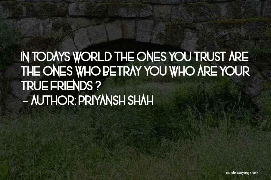 True Friends Are Quotes By Priyansh Shah