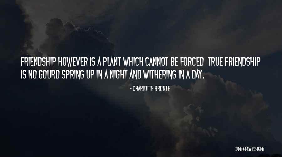 True Friendship Quotes By Charlotte Bronte True Friendship Quotes By Charlotte Bronte