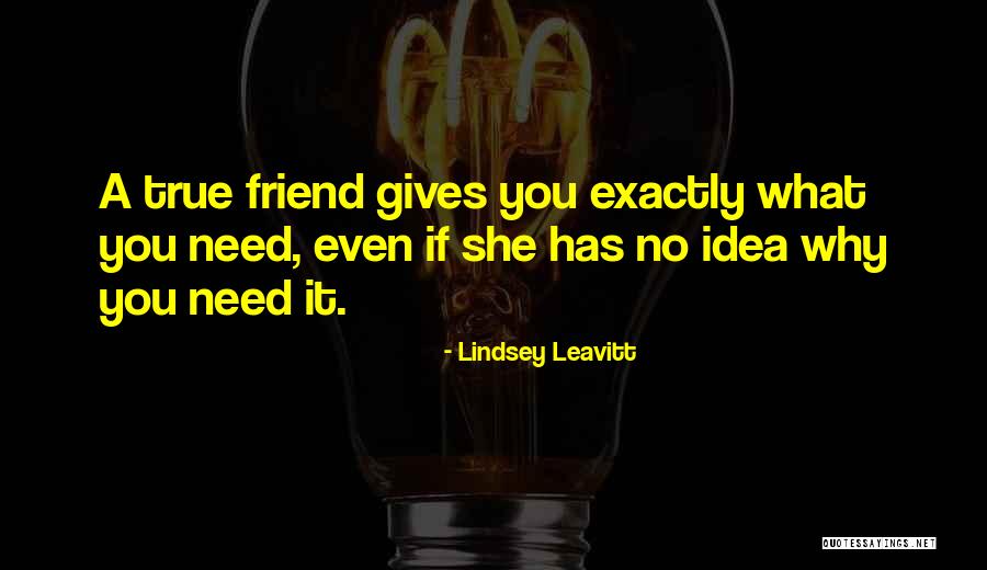 True Friendship Quotes By Lindsey Leavitt True Friendship Quotes By Lindsey Leavitt