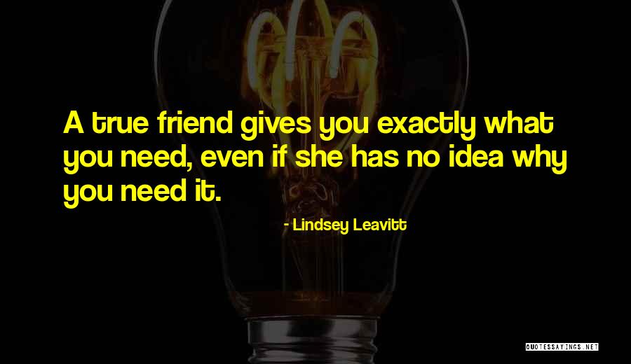 True Friendship Quotes By Lindsey Leavitt