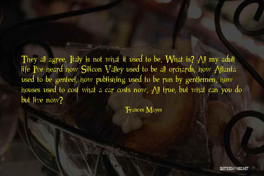 True Gentlemen Quotes By Frances Mayes True Gentlemen Quotes By Frances Mayes