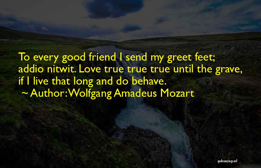 True Good Friend Quotes By Wolfgang Amadeus Mozart