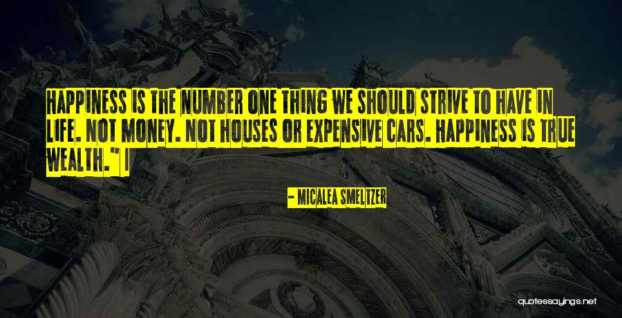 True Happiness And Money Quotes By Micalea Smeltzer True Happiness And Money Quotes By Micalea Smeltzer