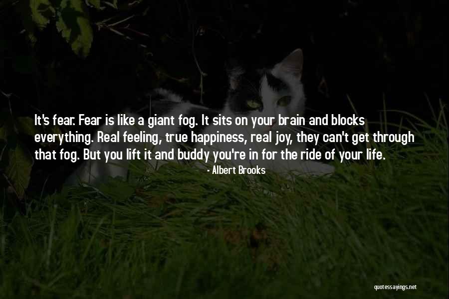 True Happiness In Life Quotes By Albert Brooks True Happiness In Life Quotes By Albert Brooks