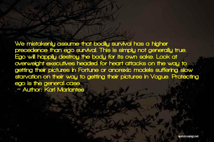 True Heart Desire Quotes By Karl Marlantes