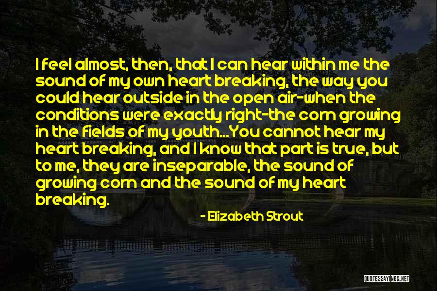 True Heartbreak Quotes By Elizabeth Strout