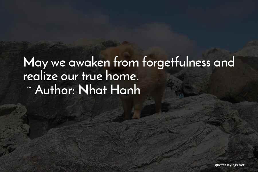 True Home Quotes By Nhat Hanh