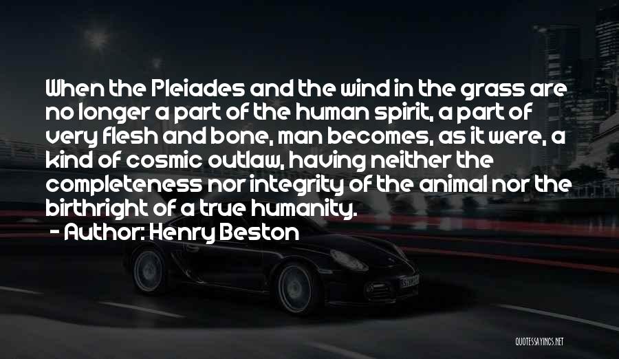 True Human Nature Quotes By Henry Beston