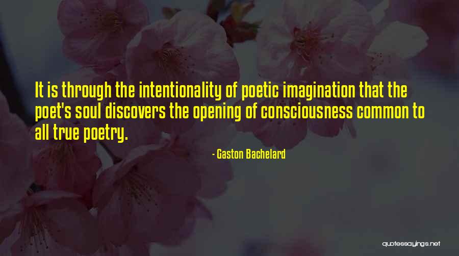 True Imagination Quotes By Gaston Bachelard True Imagination Quotes By Gaston Bachelard