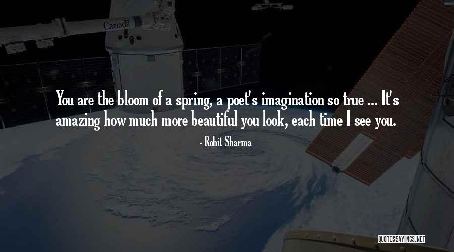 True Imagination Quotes By Rohit Sharma True Imagination Quotes By Rohit Sharma