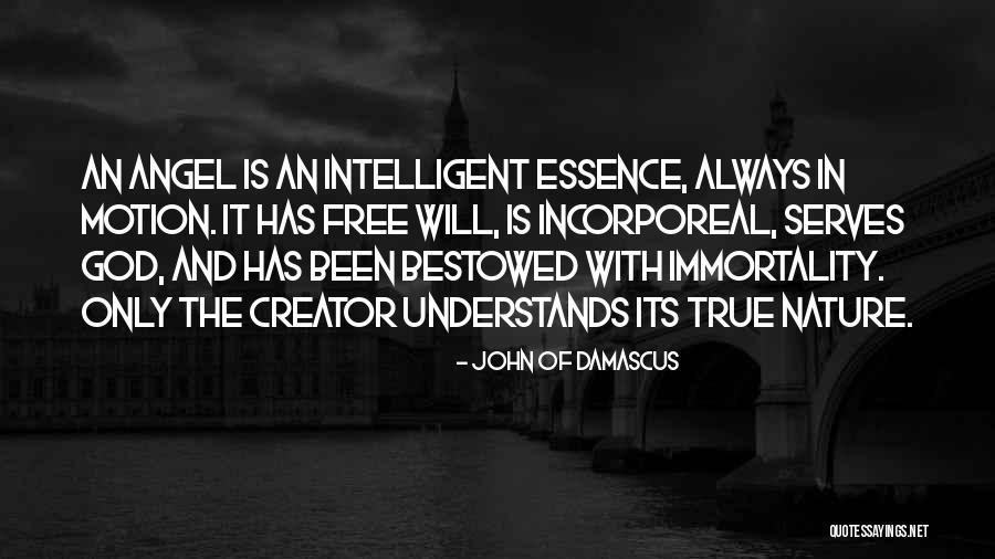 True Immortality Quotes By John Of Damascus True Immortality Quotes By John Of Damascus