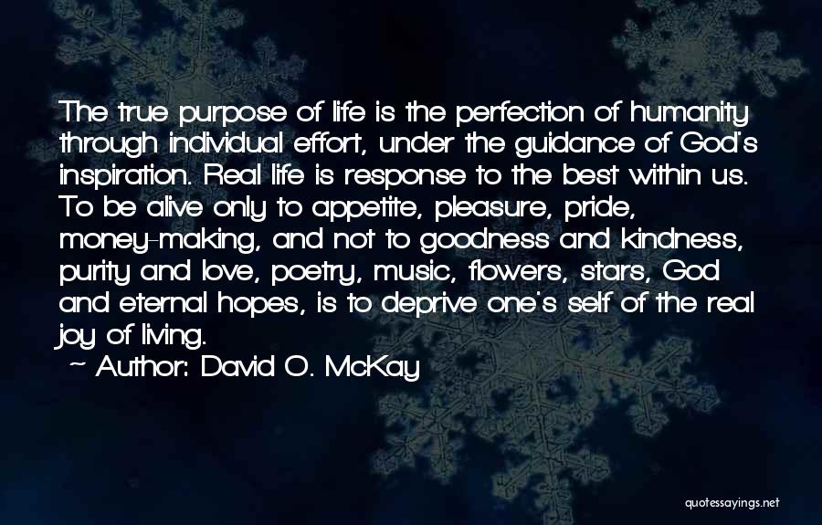 True Joy Quotes By David O. McKay