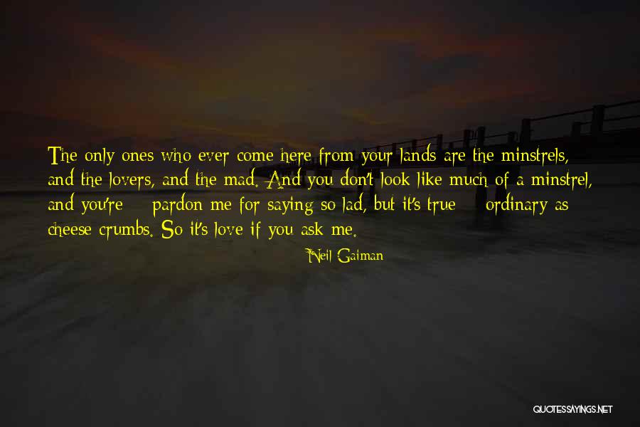 True Lad Quotes By Neil Gaiman