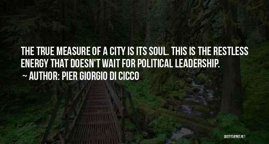 True Leadership Quotes By Pier Giorgio Di Cicco