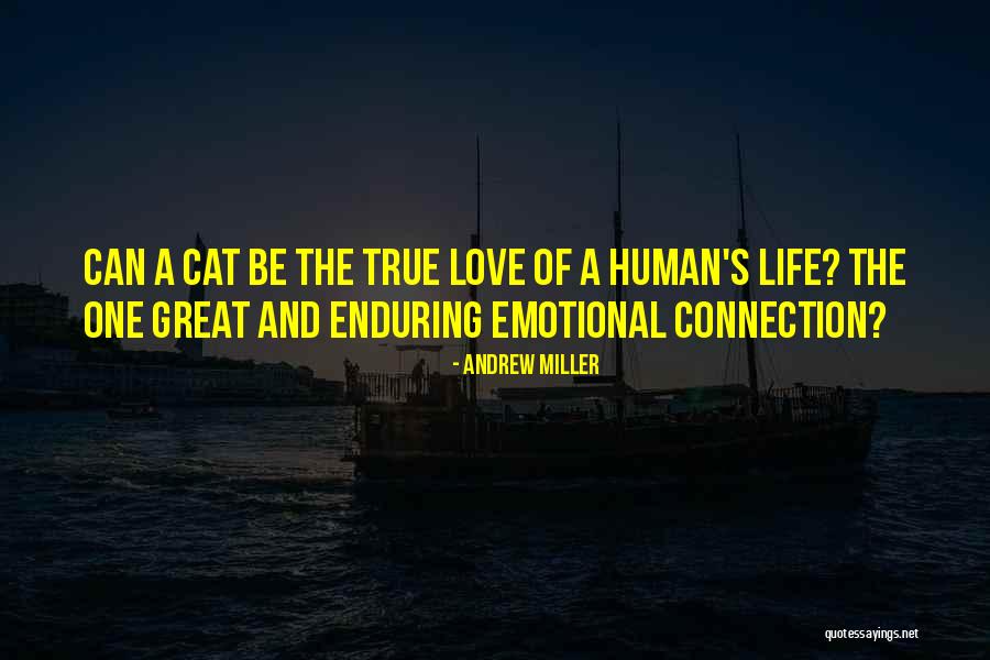 True Love Connection Quotes By Andrew Miller True Love Connection Quotes By Andrew Miller