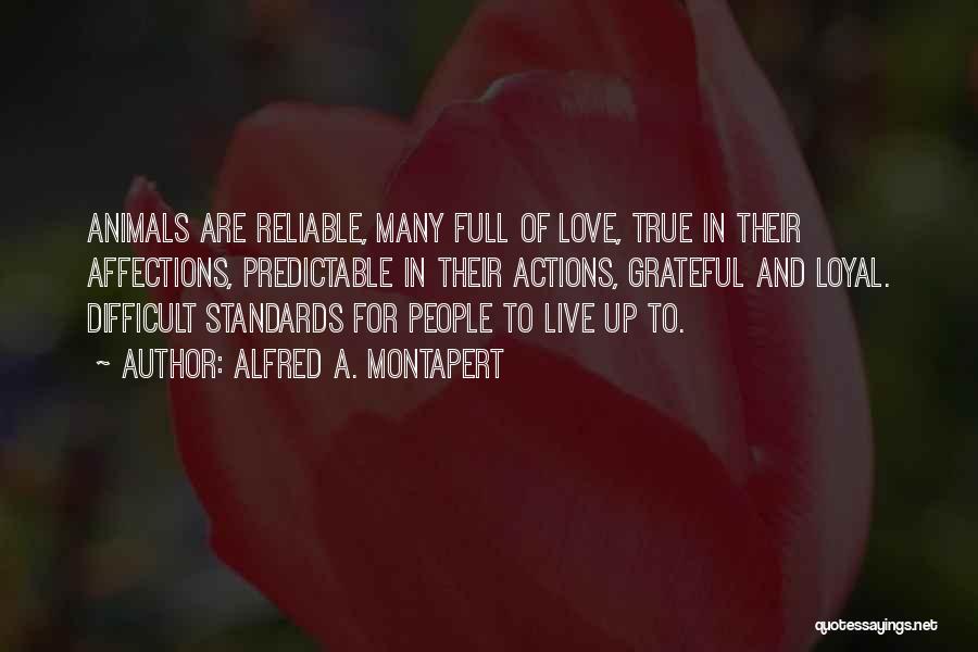 True Love Difficult Quotes By Alfred A. Montapert