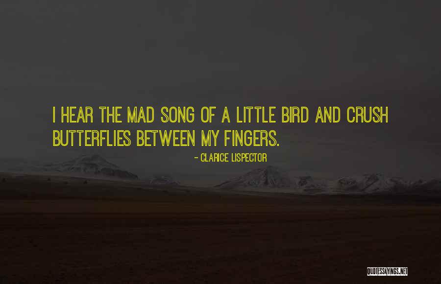 True Love Dp With Quotes By Clarice Lispector True Love Dp With Quotes By Clarice Lispector